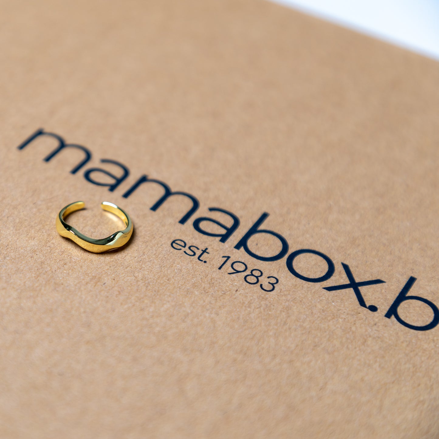 Geschenkpakket Mamabox borstvoeding*