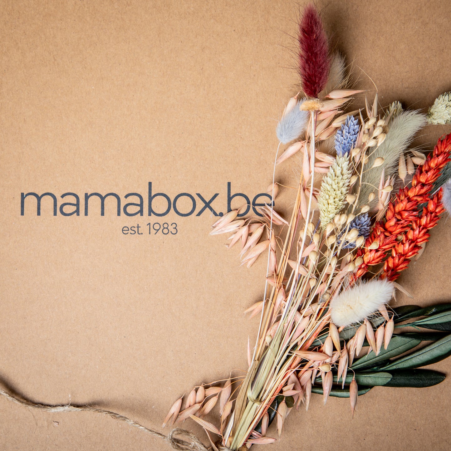 Geschenkpakket Mamabox flesvoeding*