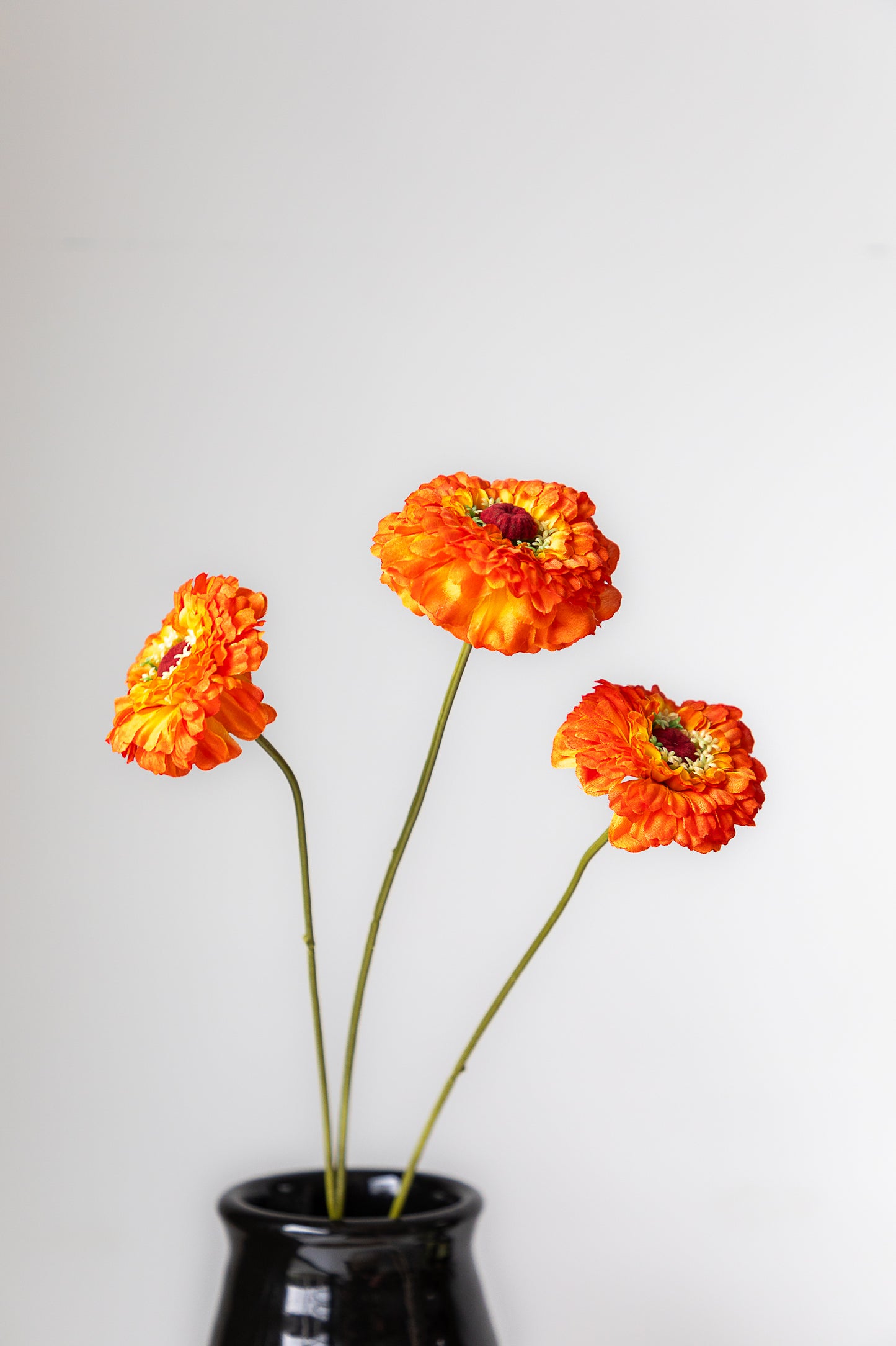 Zijden Scabiosa