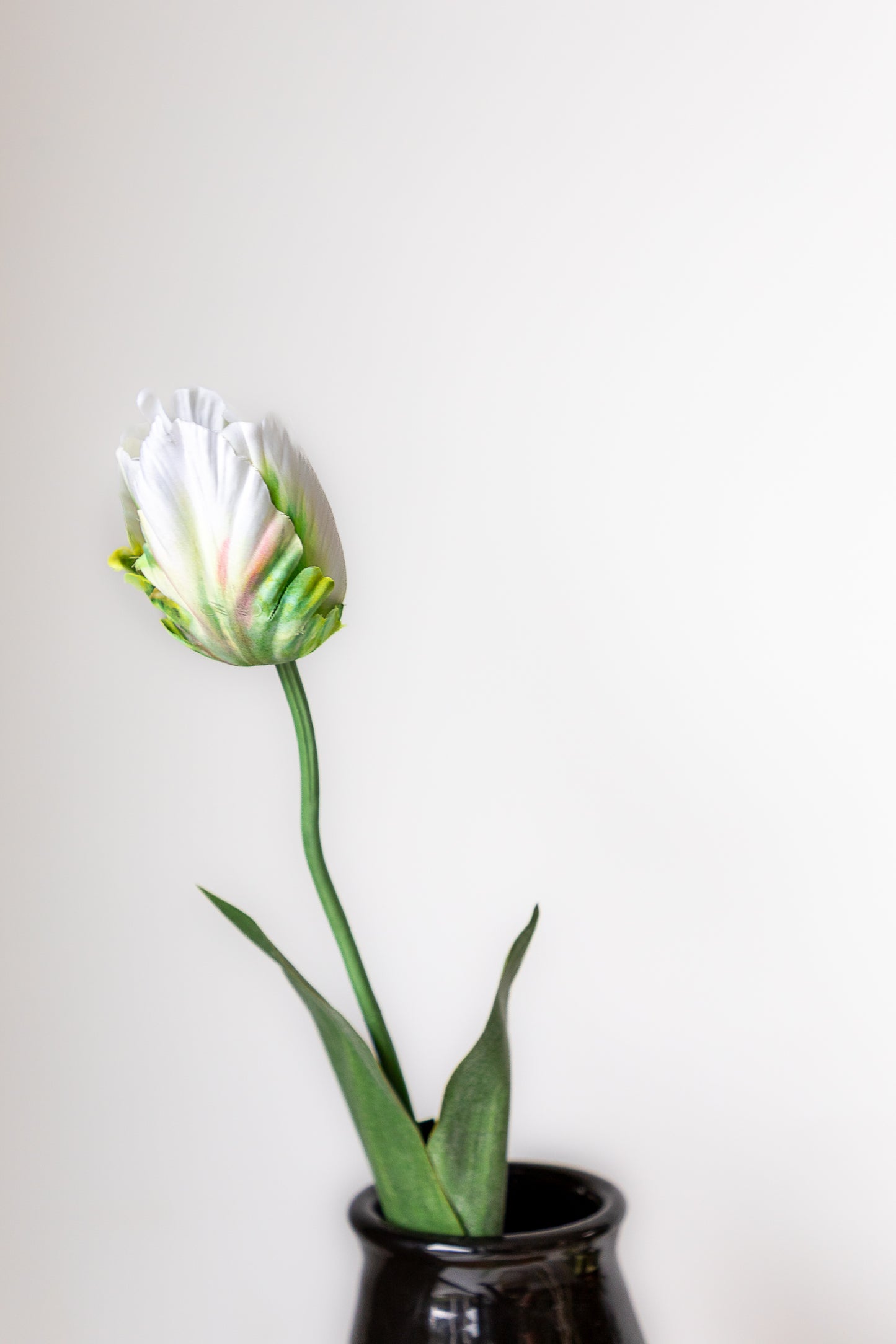 Zijden tulp