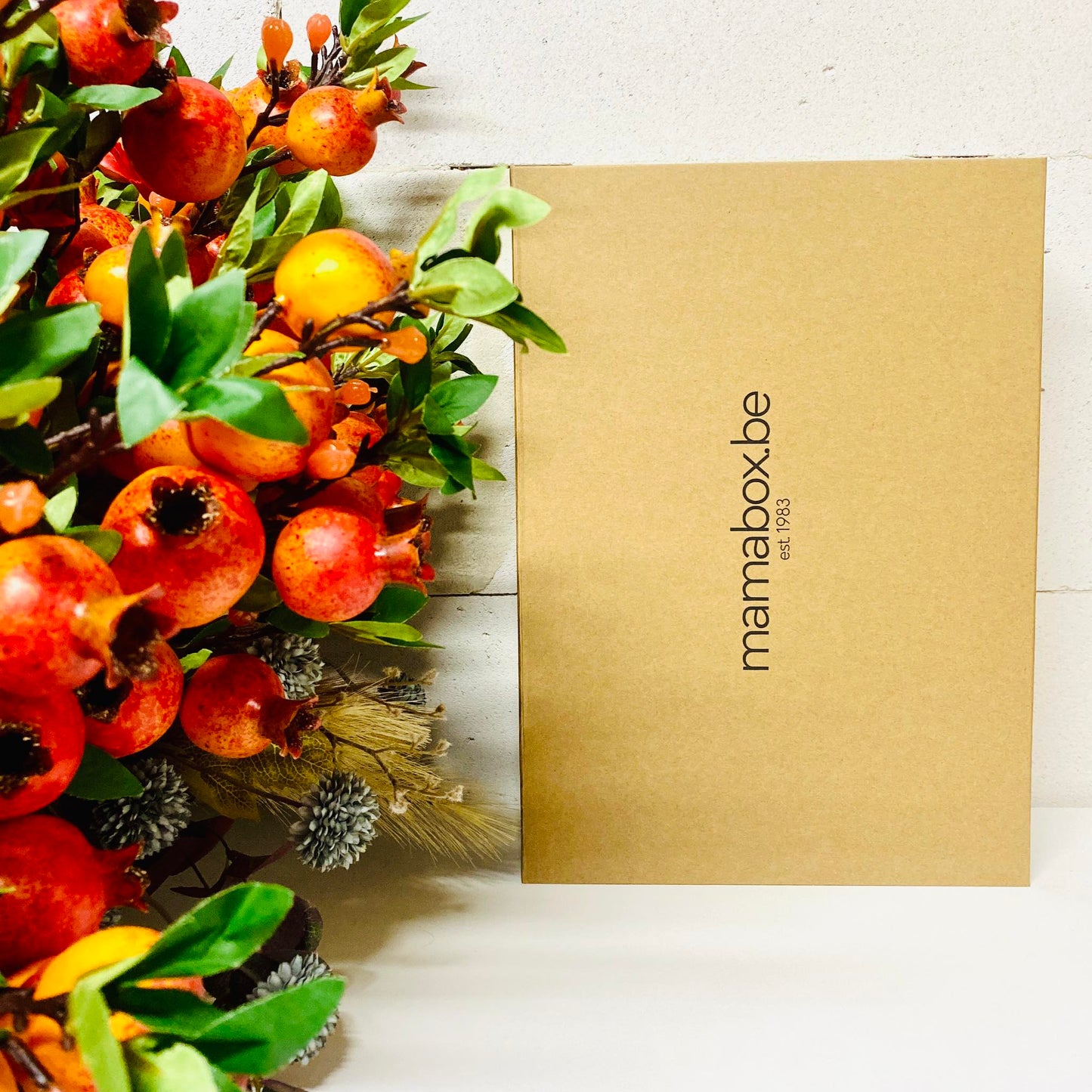 Geschenkpakket Mamabox flesvoeding*