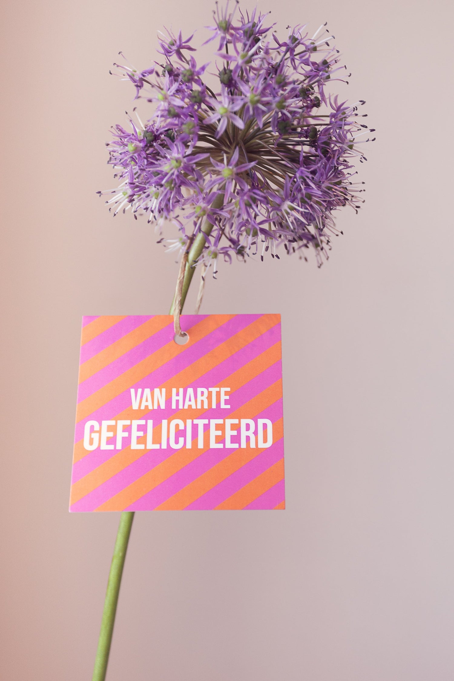 Kaartjes