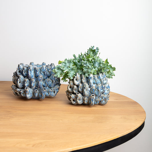 Blauwe pot vis