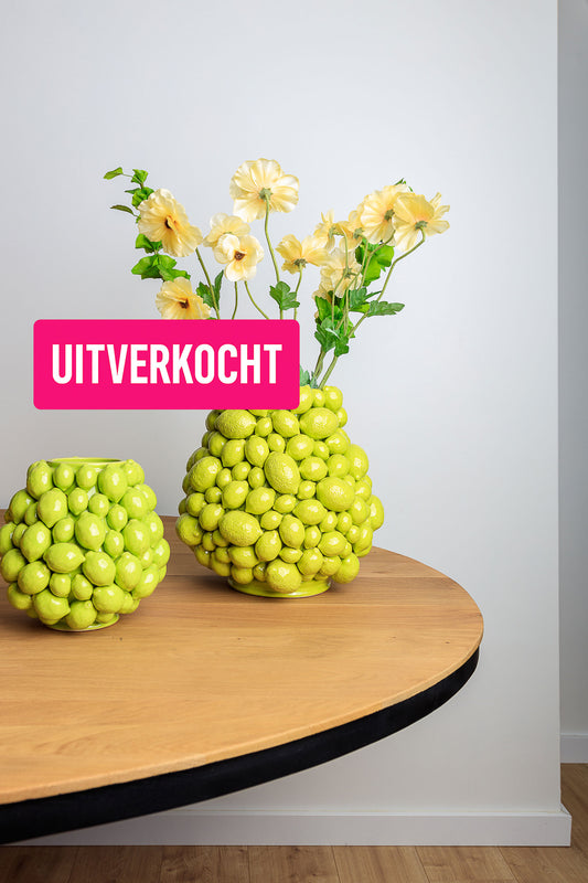 Vaas limoenen (bloemen niet inbegrepen*)