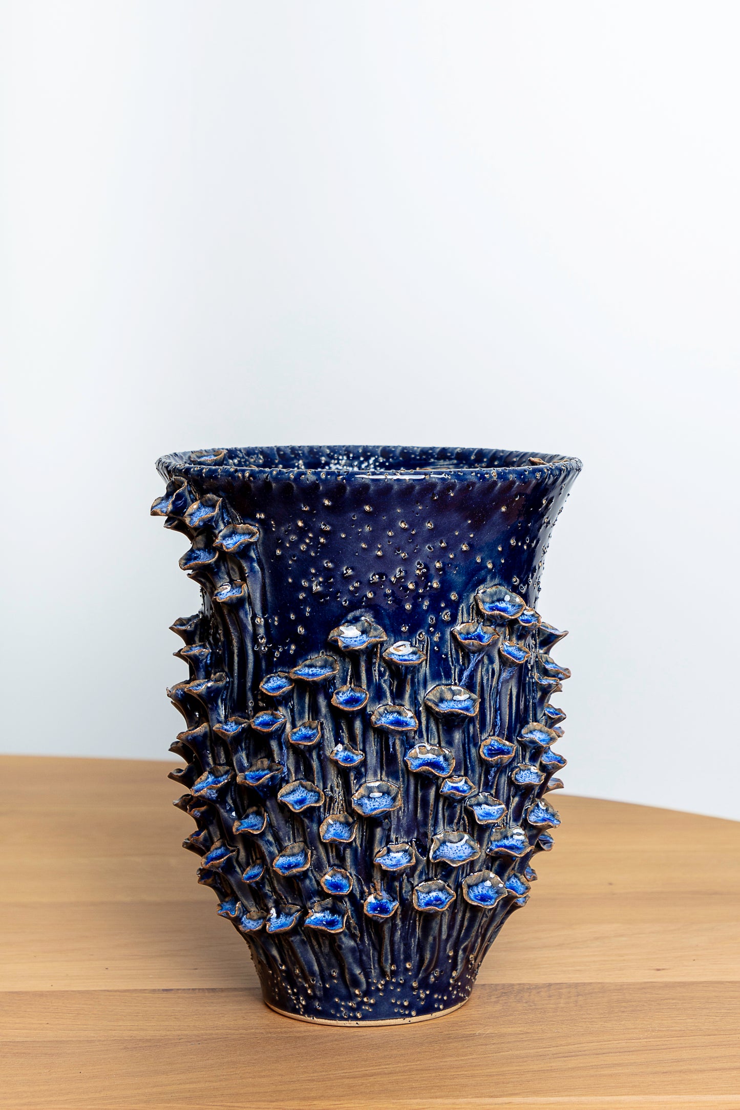 Vaas - Nachtblauw met paddenstoelenreliëf