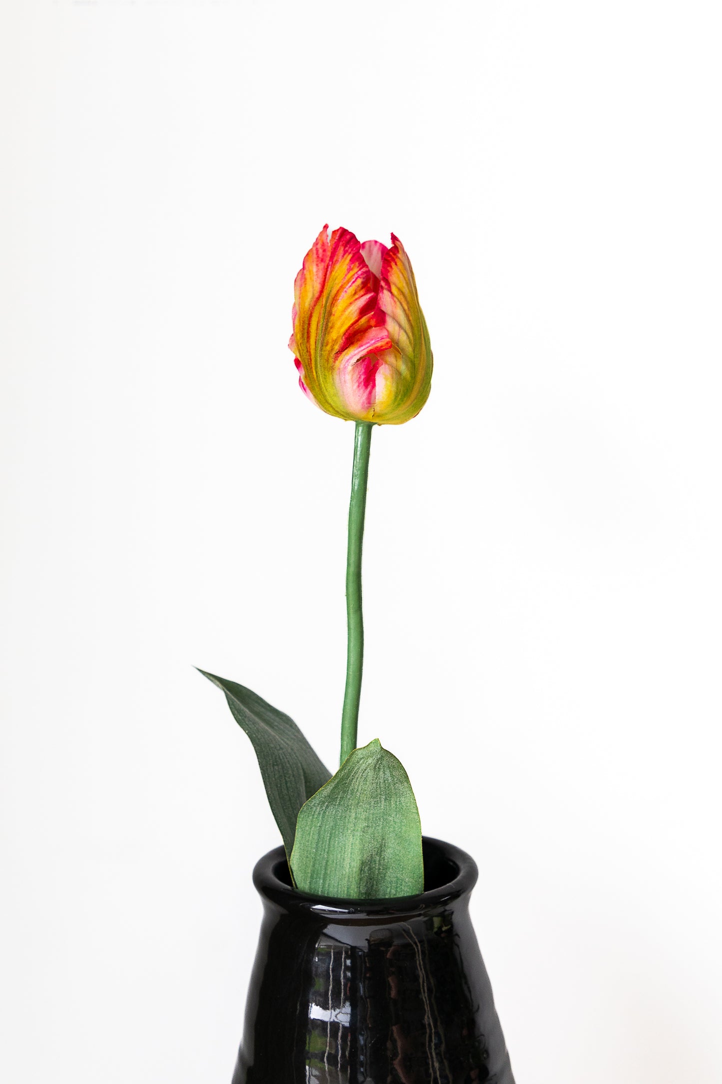 Zijden tulp