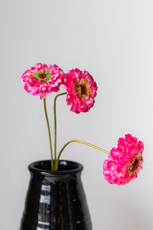 Zijden Scabiosa