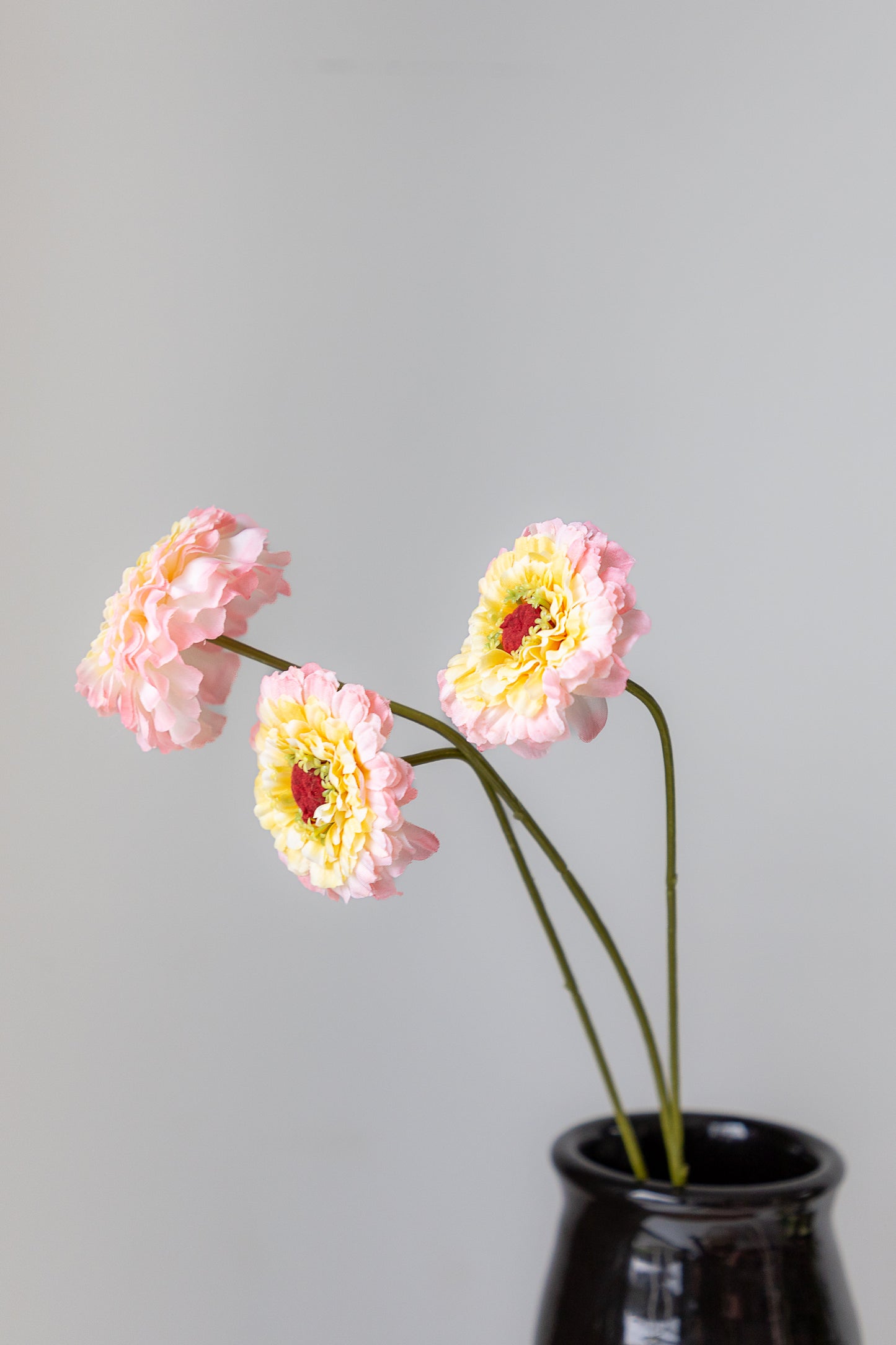 Zijden Scabiosa