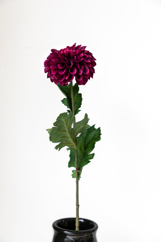 Zijden dahlia