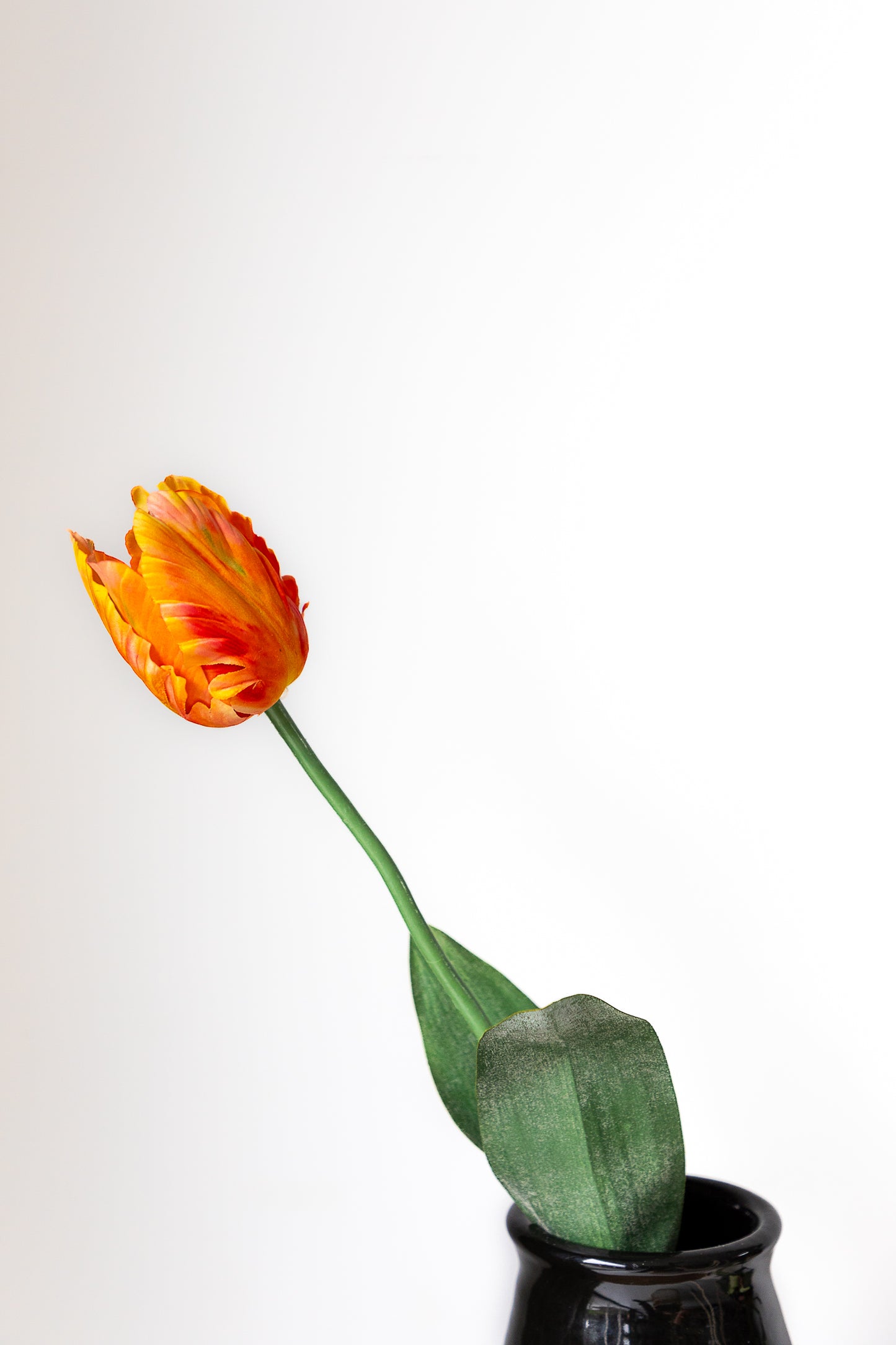 Zijden tulp