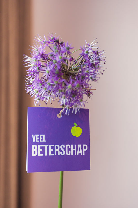 Veel Beterschap