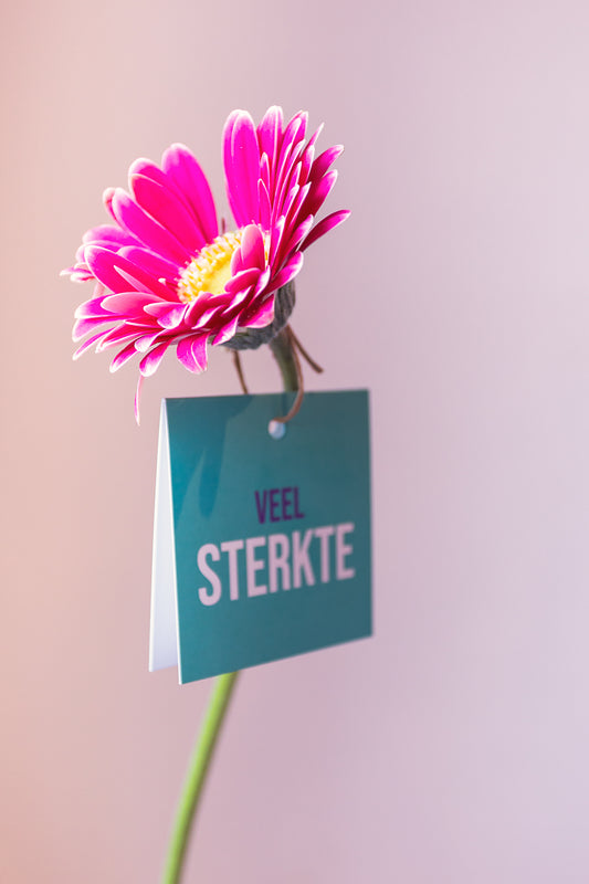 Veel sterkte